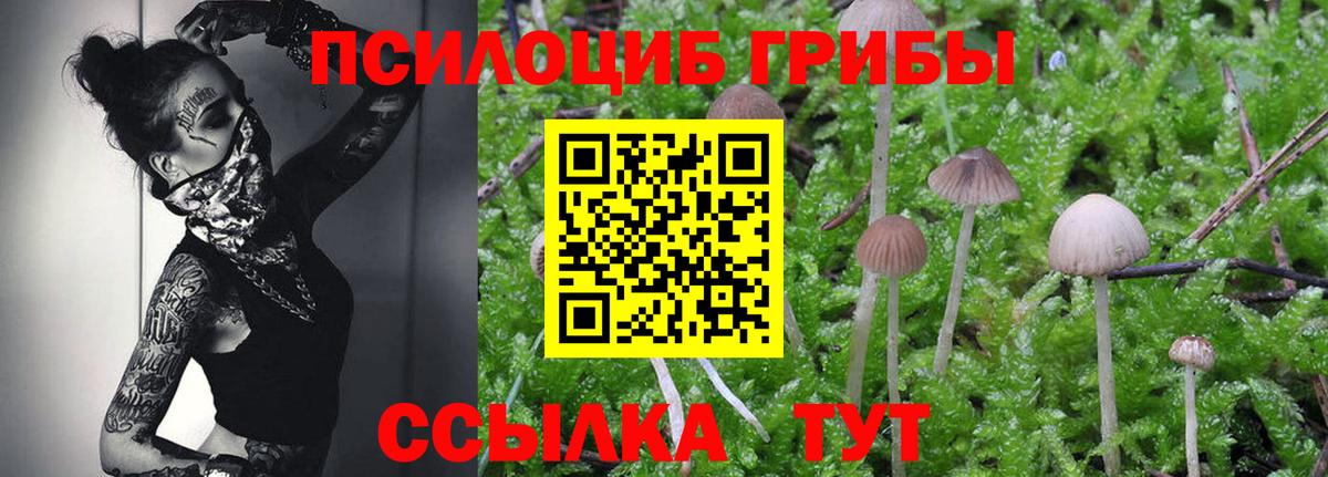 Псилоцибиновые грибы MAGIC MUSHROOMS Усть-Илимск
