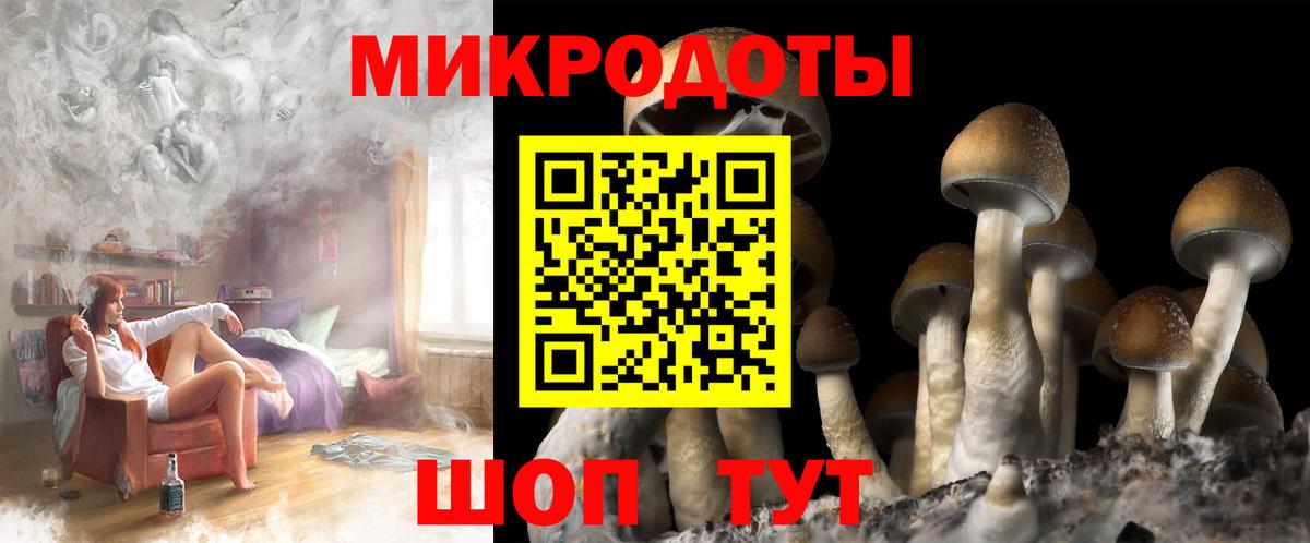 Усть-Илимск  Галлюциногенные грибы ЛСД  Галлюциногенные грибы Psilocybe  Вход с VPN 